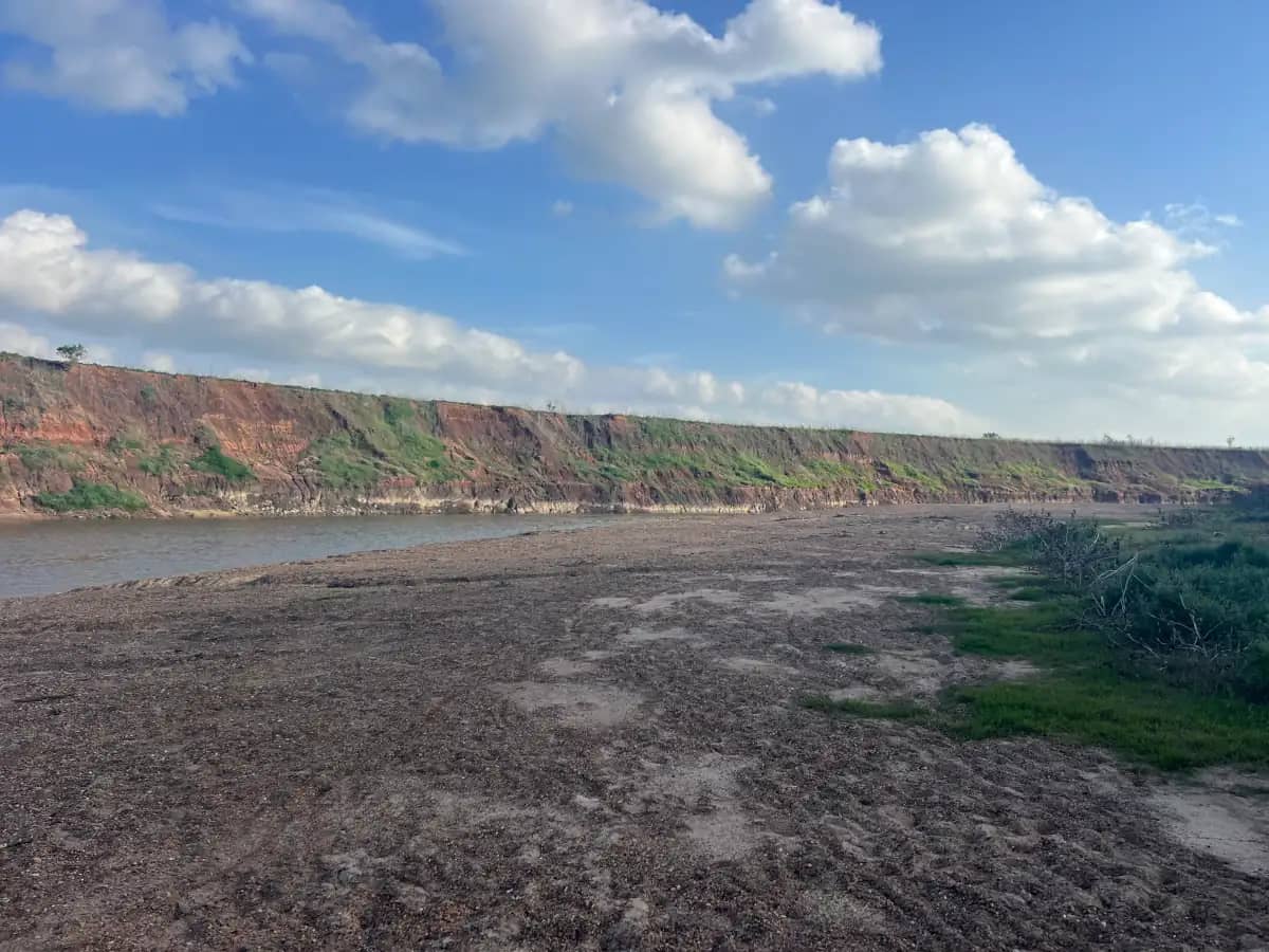 A wide view of a dry, cracked mud bank along a river, leading towards a high, eroded earthen bluff under a blue sky with scattered clouds.