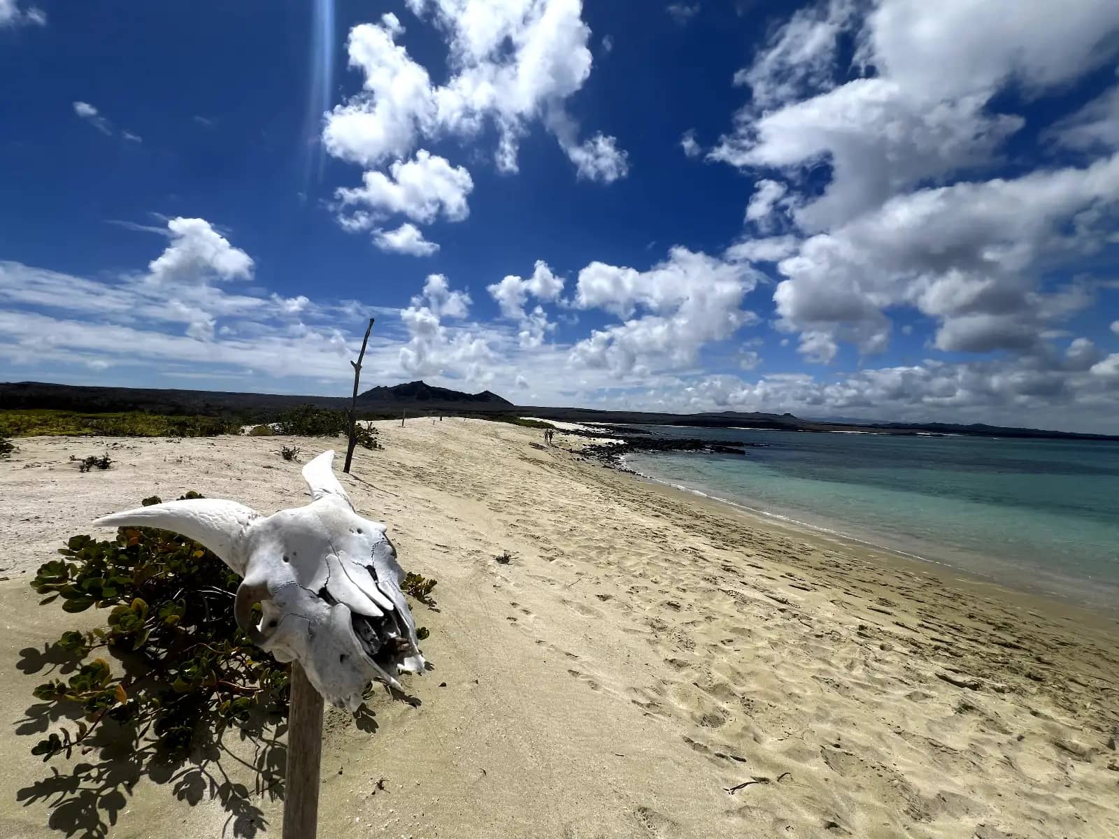 White sand beach with turquoise water and animal skull marker San Cristobal Island 360 tour Kicker Rock Galapagos Islands Ecuador