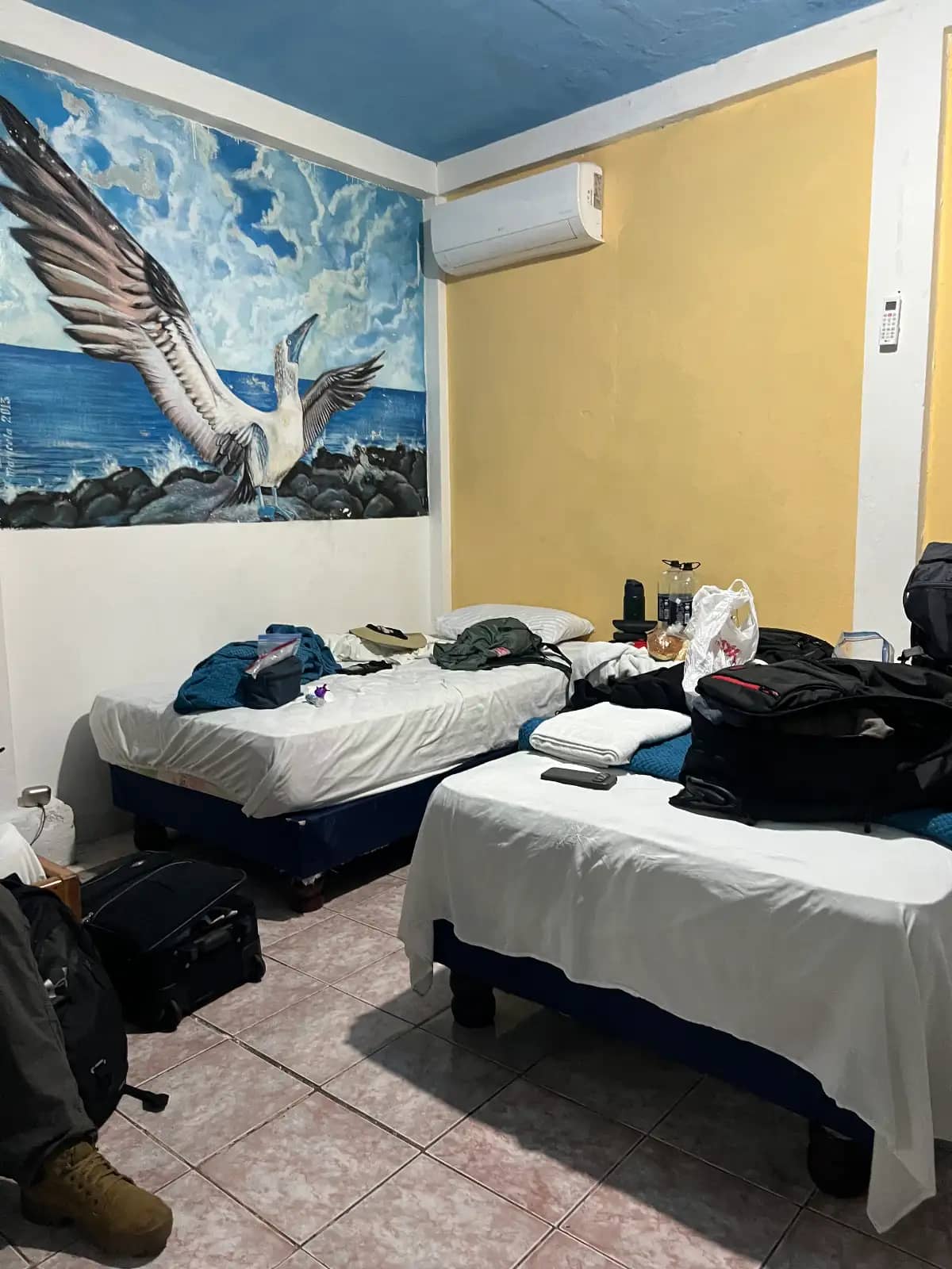 Twin bed room with large pelican wall mural and air conditioning unit Hostal Puerto Ayora Santa Cruz Island Galapagos Islands Ecuador