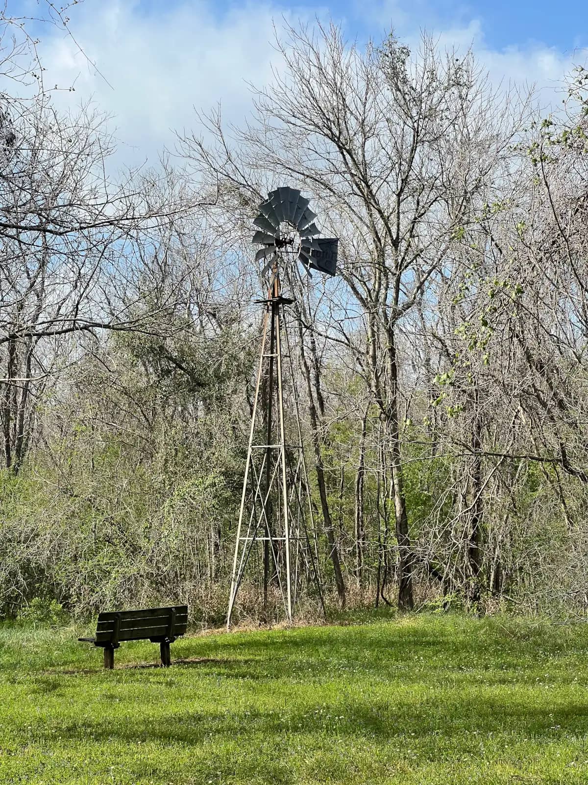A tall, weathered metal farm windmill standing in front of a dense backdrop of bare winter trees and thick green undergrowth.
