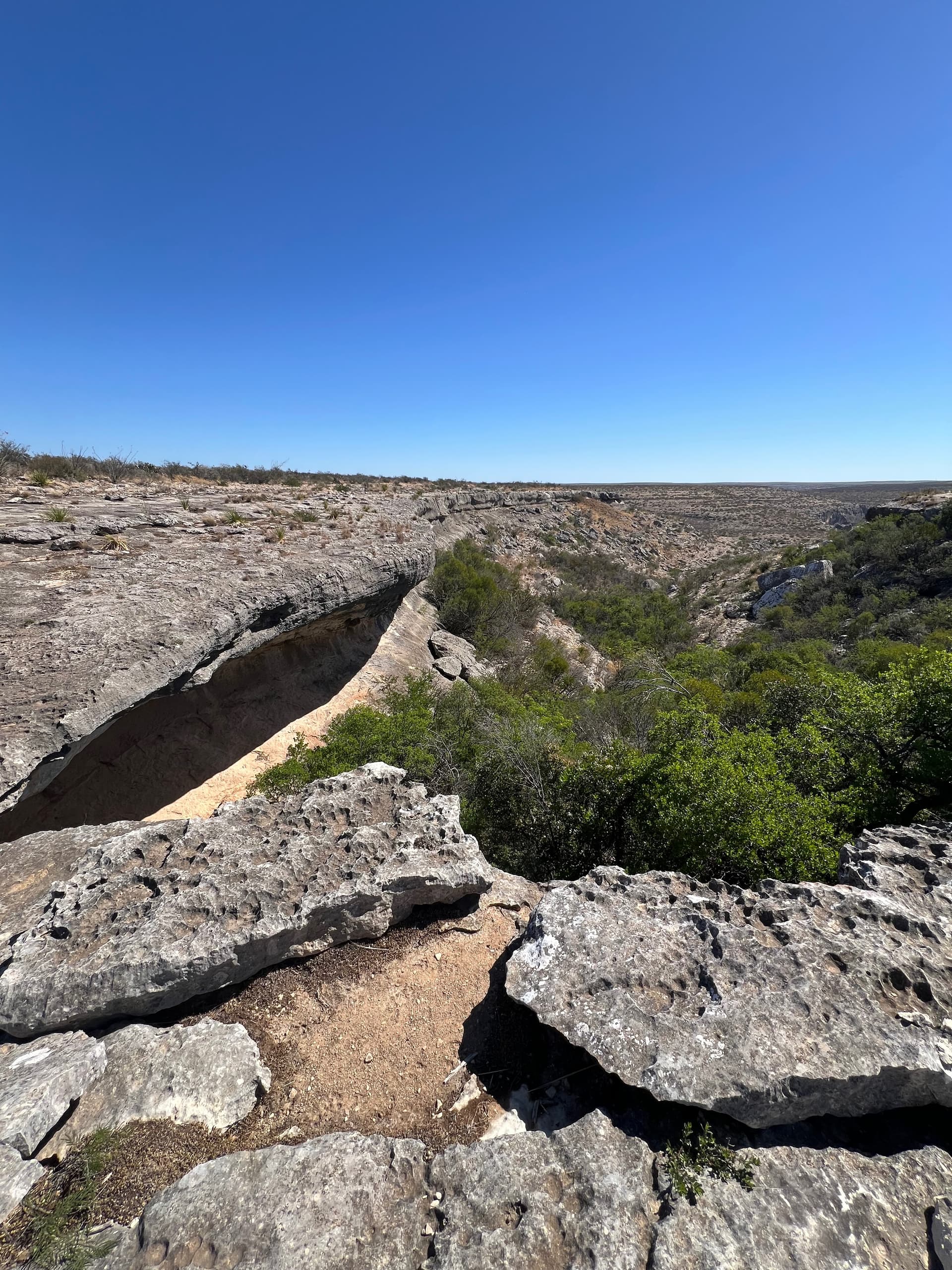 An angled, rugged limestone cliff face with a large overhang, showing green trees and brush at the canyon bottom.