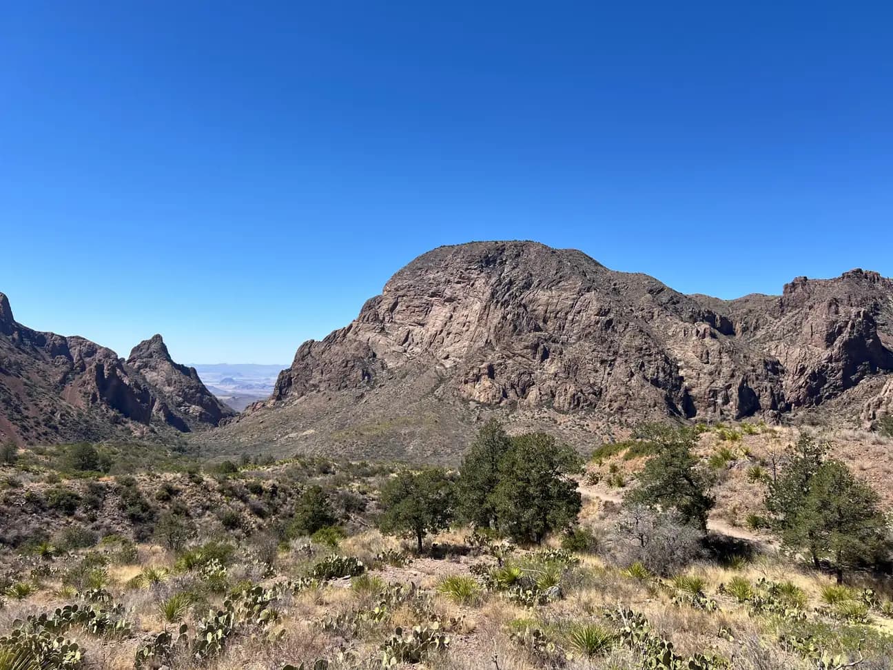 A wide landscape of rocky mountains and desert valleys with scattered trees and shrubs under a bright, cloudless sky.