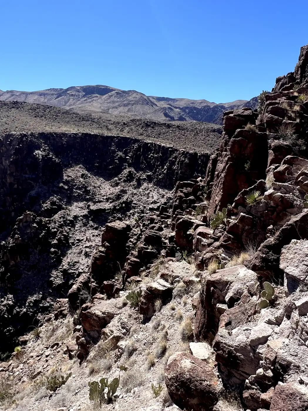 A close-up view of a deep, rugged canyon with dark, jagged volcanic rock formations and sparse desert vegetation under bright sunlight.