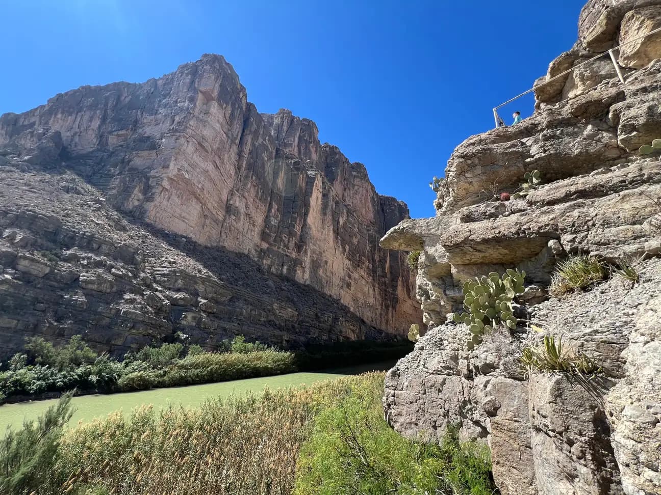 A high-angle view showing the green Rio Grande river winding past desert plants and steep canyon walls in the bright sun.