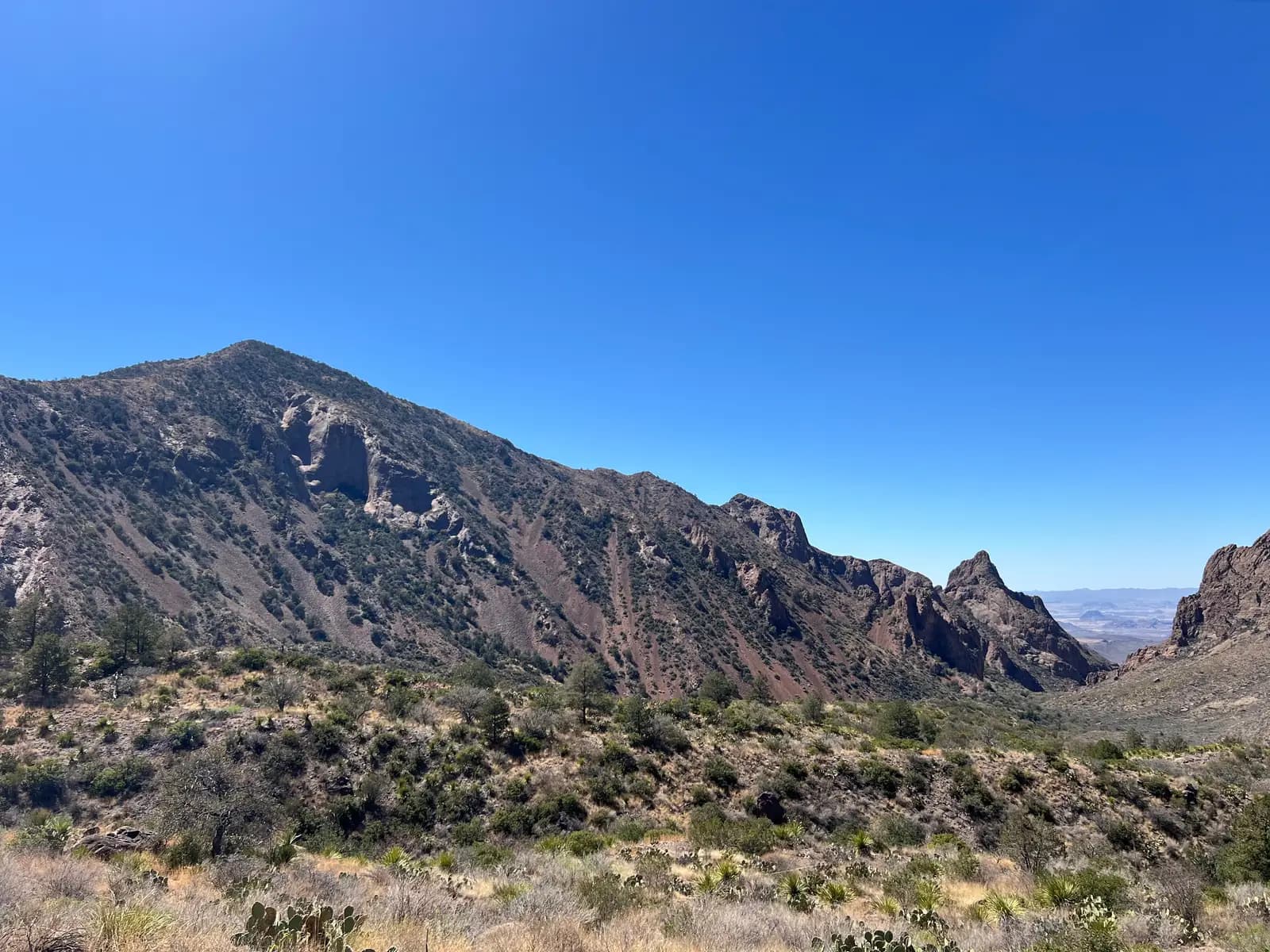 A wide view of rugged, green-sloped mountains meeting a bright blue sky, with desert scrub and cacti in the foreground.