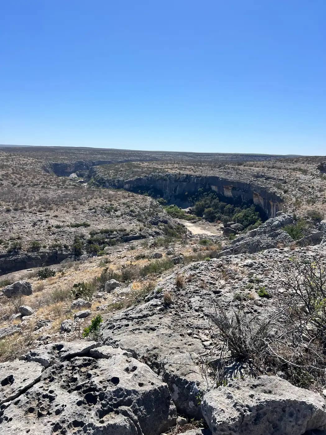 An elevated viewpoint of a wide, looping horseshoe bend in the desert canyon with dry riverbed and brush.