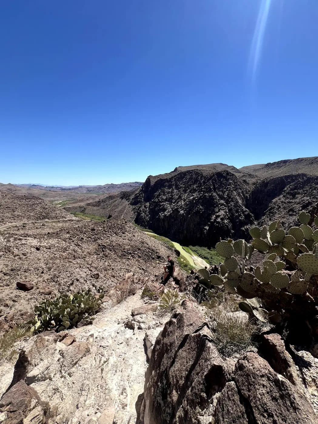 A high-altitude view of the Rio Grande winding through dark rocky canyons, with prickly pear cacti in the foreground and a sun flare in a bright blue sky.