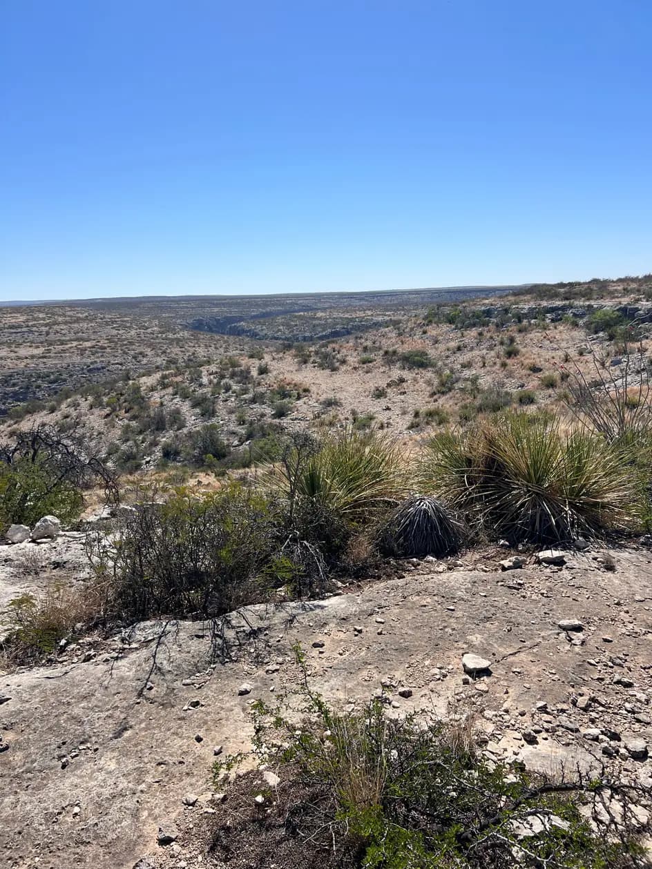 A vast, brushy West Texas desert landscape vista with a deep, dry arroyo winding into the distance.