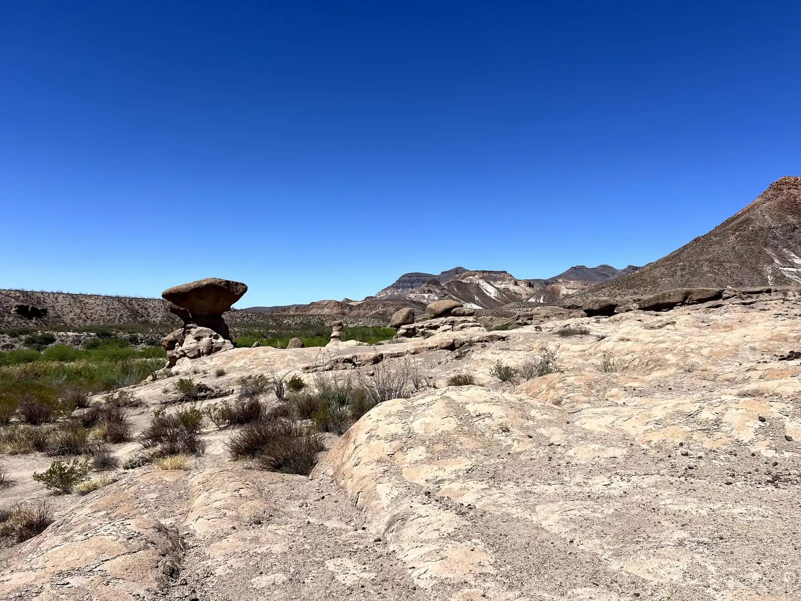 wide-angle view of the desert floor featuring balanced rock formations (hoodoos) and distant purple mountains under a stark blue sky.