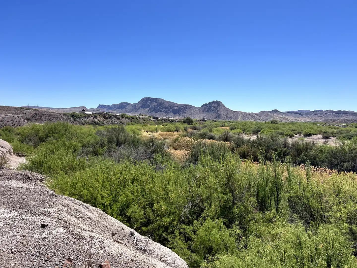 Wide landscape of lush green bushes and desert shrubs leading toward dark, jagged mountains under a clear blue sky in West Texas.