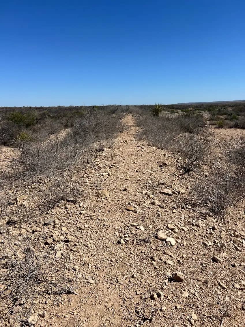 A rocky, unpaved desert hiking trail made of small brown stones, cutting through dry, grey desert brush under a clear sky.