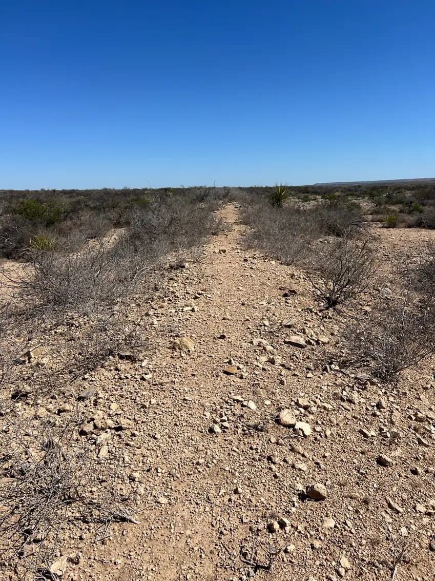 A rocky, unpaved desert hiking trail made of small brown stones, cutting through dry, grey desert brush under a clear sky.