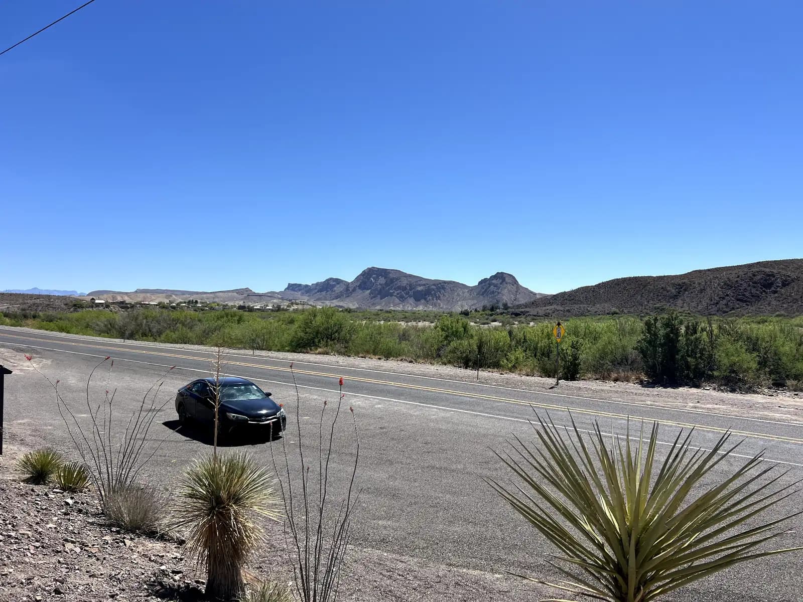 A high-angle view of a dark sedan parked on a paved roadside shoulder. The foreground features desert plants, including a spiky yucca and tall ocotillo stalks. Beyond the road, a lush green valley leads to a series of rugged mountain peaks under a bright blue sky.