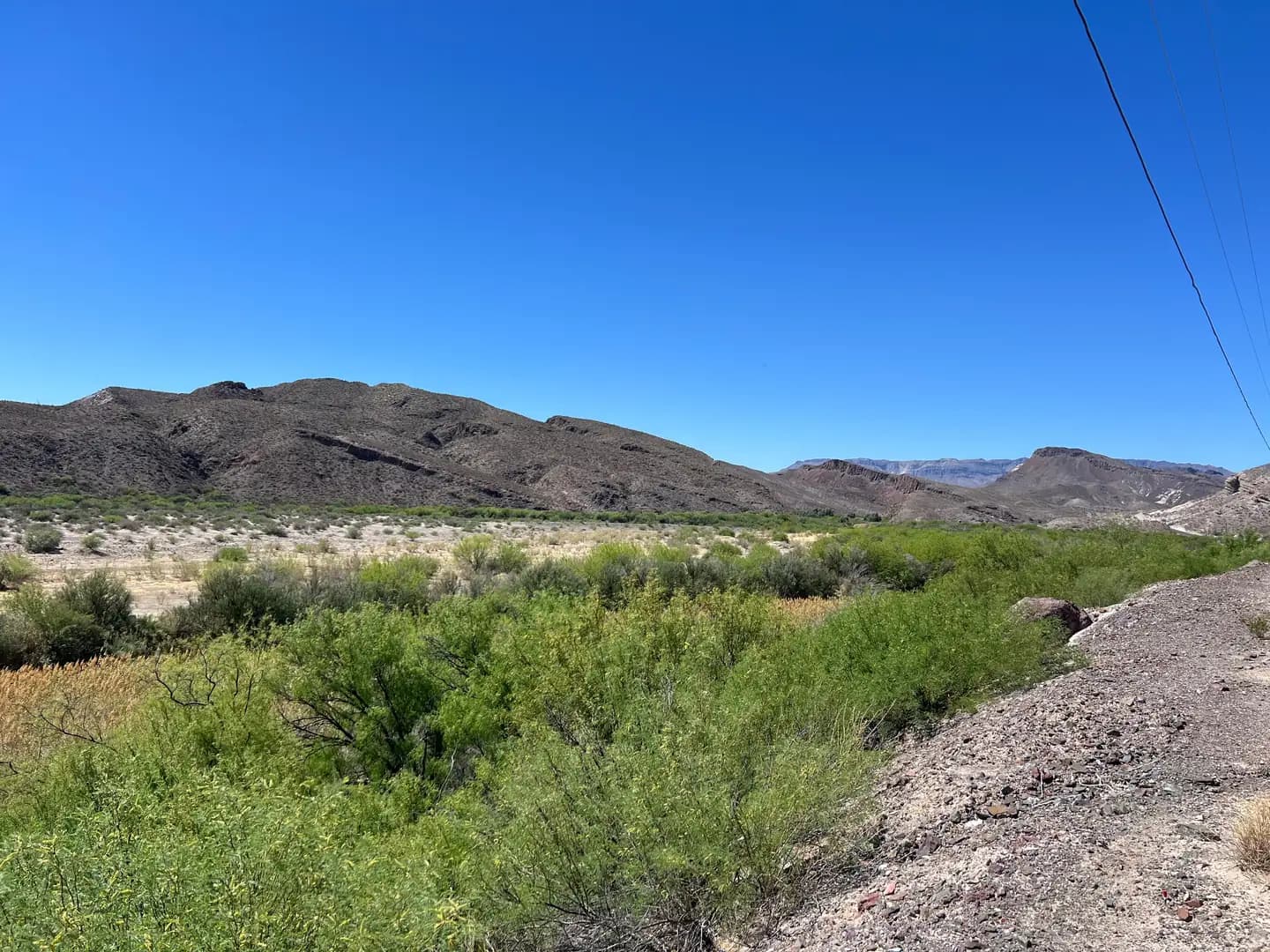A desert valley filled with green Honey Mesquite and Catclaw Acacia shrubs, backed by rolling brown mountains under a clear blue sky.