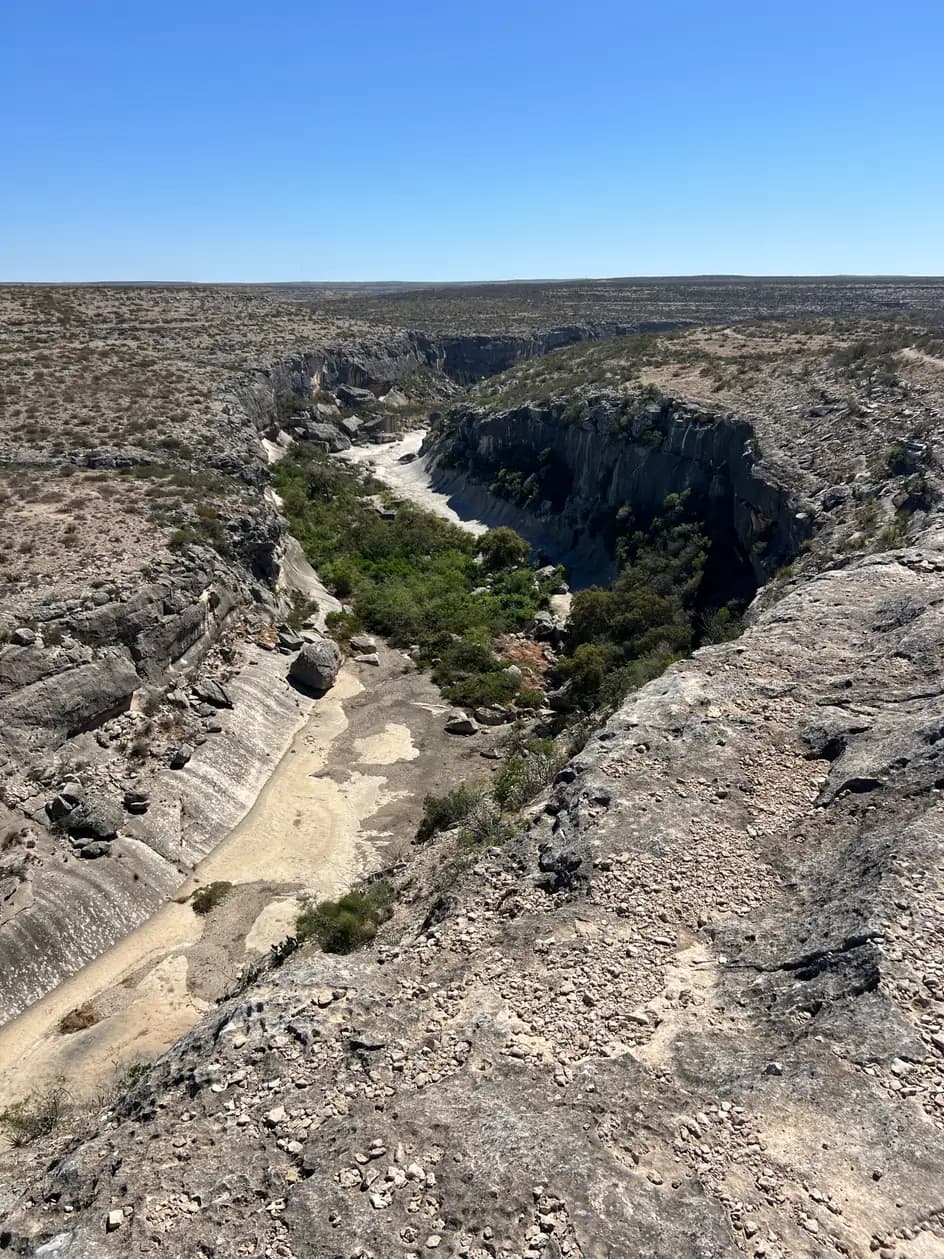 Looking down into a steep, rugged desert canyon with large boulders, diverse green brush, and clear sky.