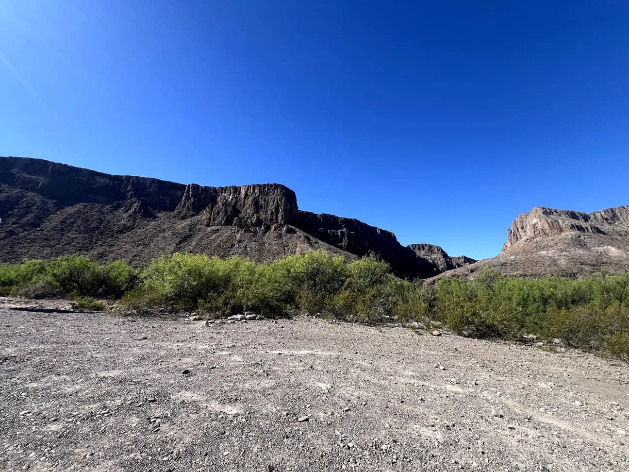 A wide shot of a desert canyon at Big Bend Ranch State Park featuring towering rock walls and green desert shrubs under a deep blue sky.