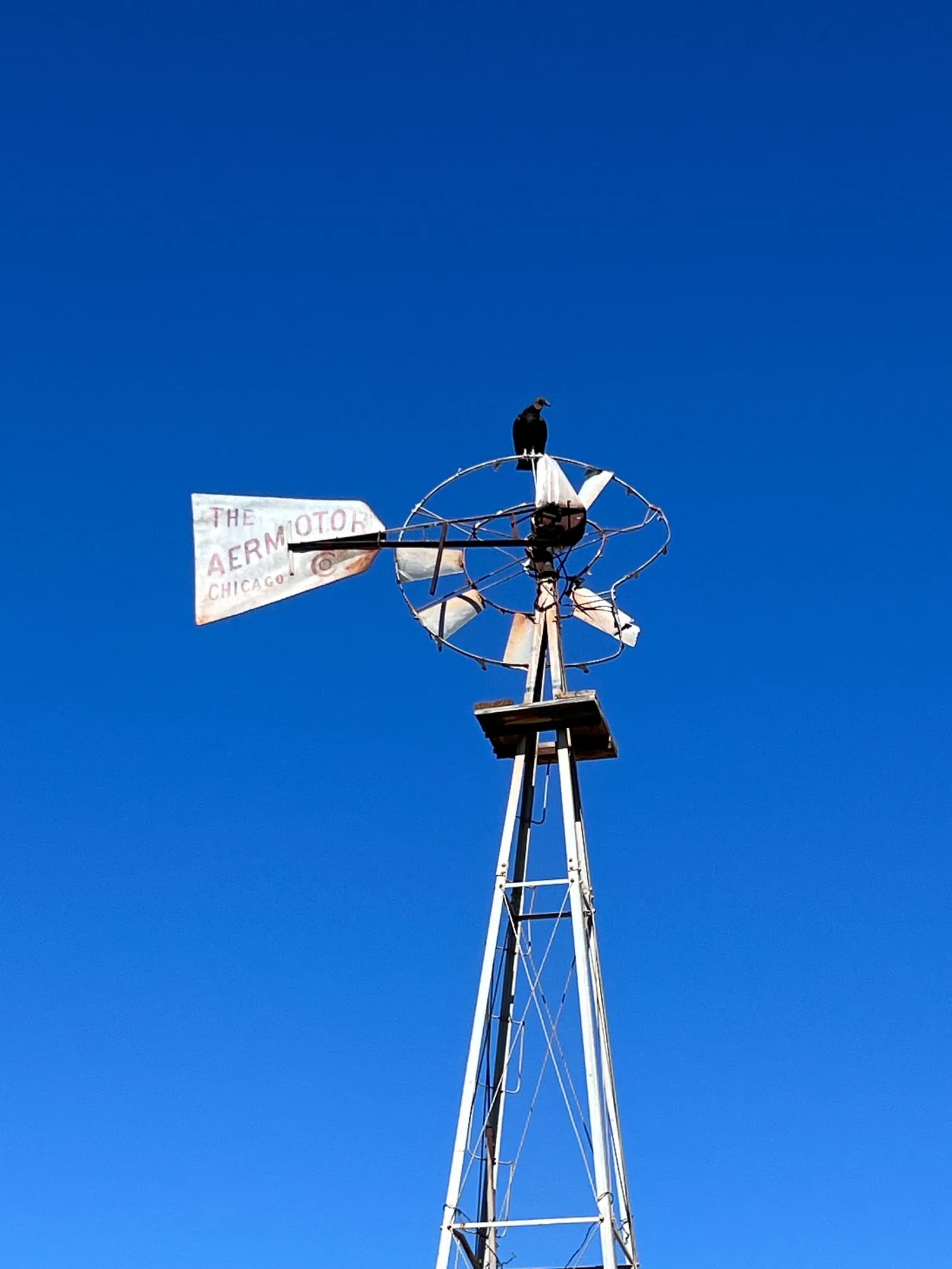A vintage Aermotor Chicago windmill with a single black vulture perched on top, set against a solid, deep blue sky.
