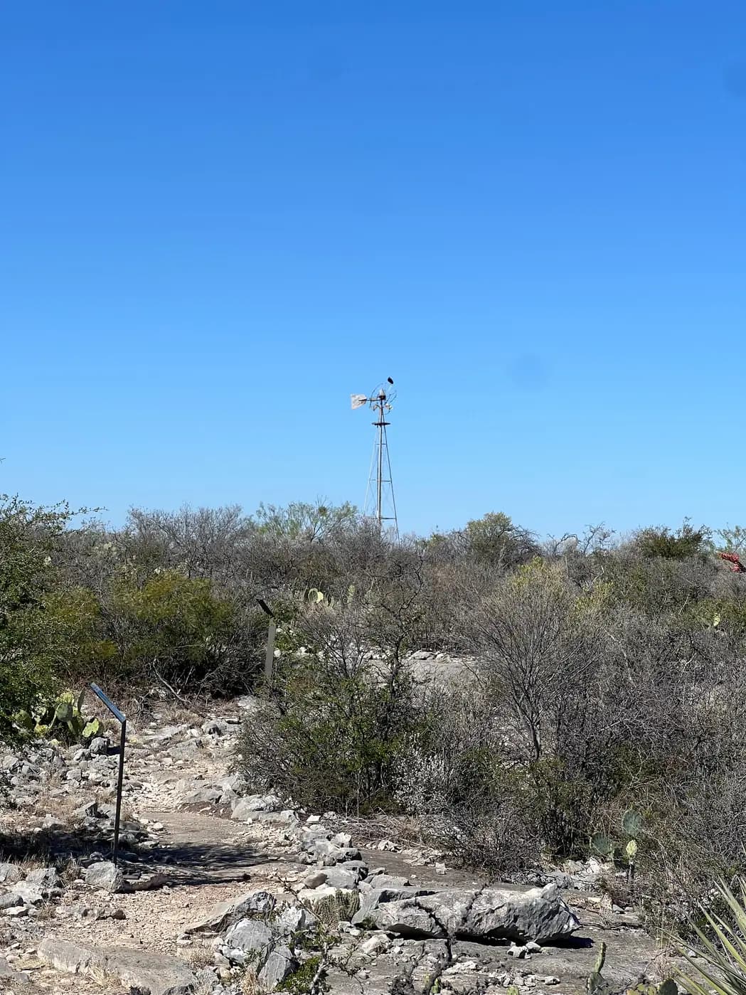 A lone, metal farm windmill in a dry, bushy desert field.